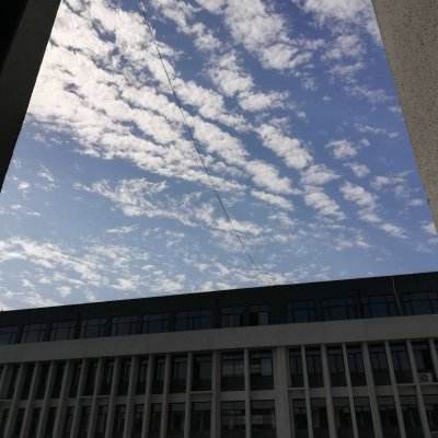 广东新增2例本土确诊病例